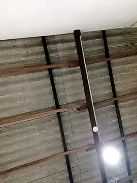 Queen princes online show from February 23, 2025, 5:01 am