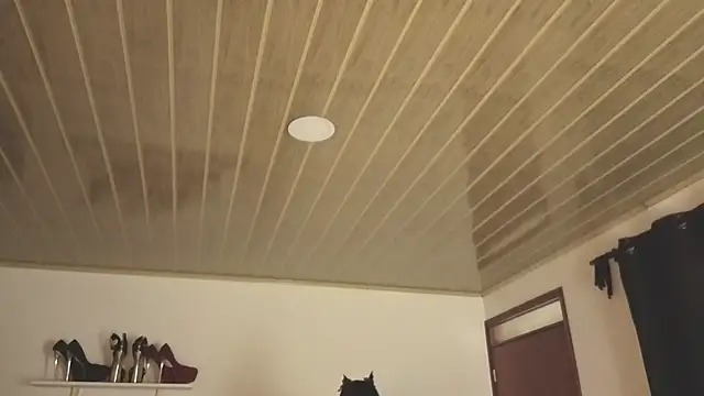 Renaxi Smith online show from October 31, 2025, 7:59 pm