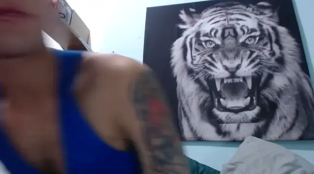 dany hardy online show from February 4, 2025, 4:15 am