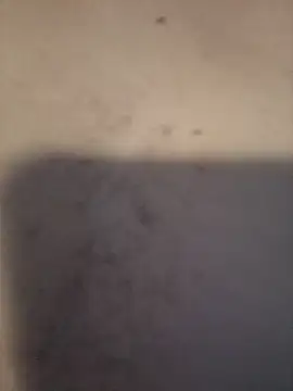 dany hardy online show from March 24, 2026, 8:36 pm