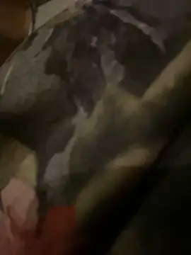 QTeepye online show from February 19, 2026, 4:41 am