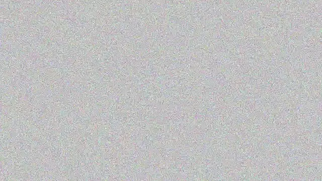 Elsa-bad online show from February 22, 2025, 11:24 pm