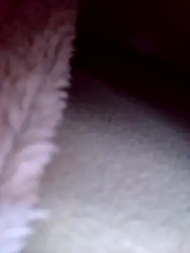 Putinha33333 online show from February 22, 2026, 2:45 am