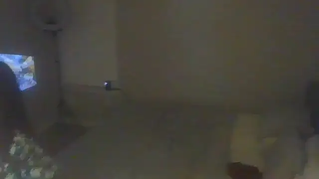 geld 88 online show from February 18, 2025, 11:55 am