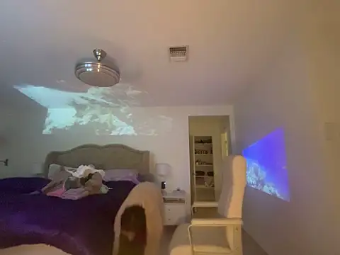 geld 88 online show from October 4, 2025, 8:23 am