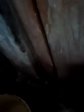 Raj41 online show from November 28, 2025, 1:19 am