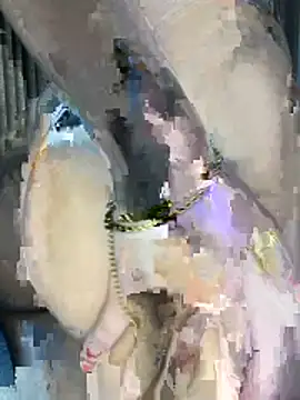 perolaa8 online show from March 17, 2026, 5:05 pm