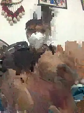 punjabi munda38 online show from January 24, 2025, 3:55 pm