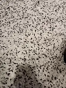 garibaldi1974 online show from December 5, 2025, 1:31 pm