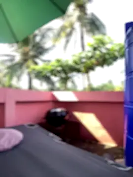 White Lu online show from September 25, 2025, 2:04 am