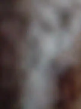 Snapshot of mhmia chatting on February 12, 2026, 3:51 pm mhmia online show from February 12, 2026, 3:51 pm