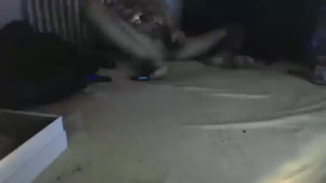 Damn bro23 online show from January 31, 2026, 8:51 pm