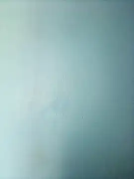 randit7 online show from March 1, 2025, 6:35 am