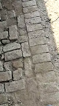 xmanrawan2 online show from February 3, 2025, 7:18 am