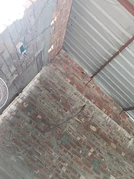 Snapshot of birds0641 chatting on October 24, 2025, 7:49 am birds0641 online show from October 24, 2025, 7:49 am