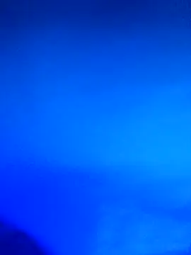 wadmma online show from February 21, 2026, 11:39 pm