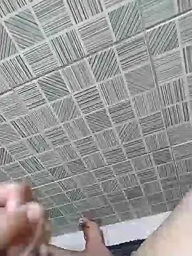 seulobinhoOficial04 online show from April 17, 2026, 8:12 pm