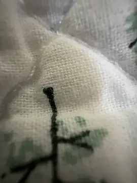 Snapshot of sissyboijamie1313 chatting on February 28, 2026, 8:54 pm sissyboijamie1313 online show from February 28, 2026, 8:54 pm