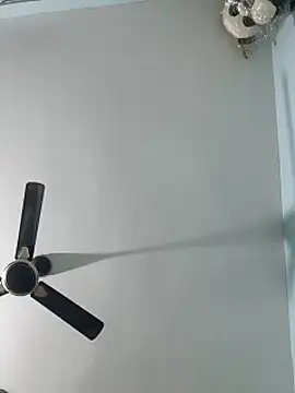 Babybird online show from February 10, 2025, 8:42 pm