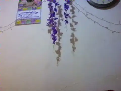 xxsexycutexxx online show from March 3, 2025, 2:04 pm