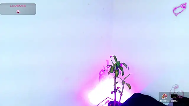 7 Saturno 7 online show from March 20, 2026, 3:39 pm