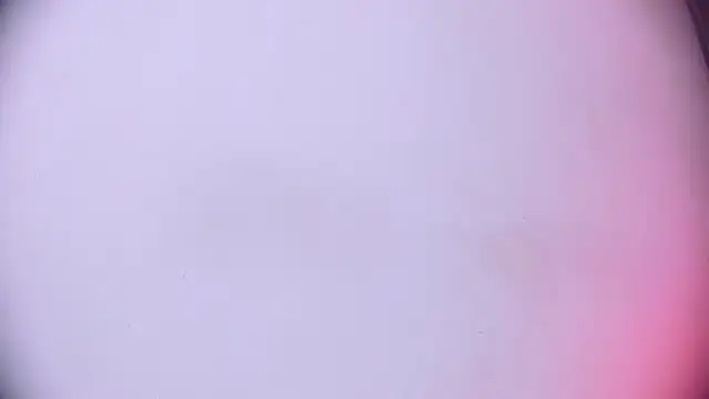 Ashlyaurora online show from March 18, 2025, 8:25 am