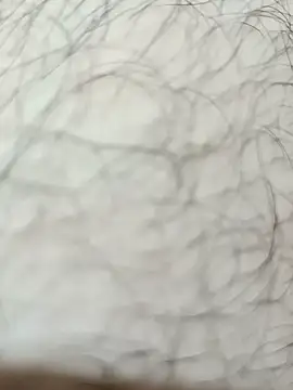 Arabian online show from November 7, 2025, 3:01 pm