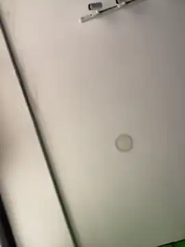 Dulce  Boyd online show from February 14, 2026, 2:03 pm