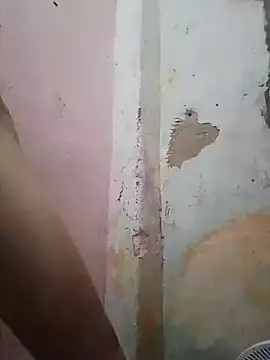 shuelldin online show from February 13, 2025, 11:50 am