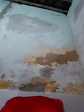 shuelldin online show from October 29, 2025, 2:47 am