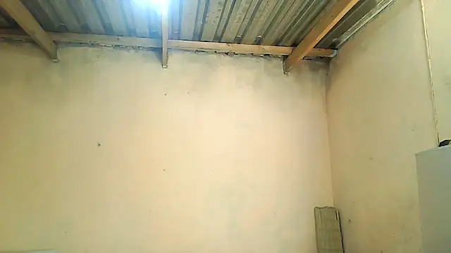 01applebottom online show from November 27, 2025, 10:06 am