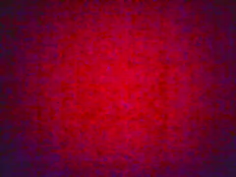 allisonbr online show from February 21, 2026, 1:01 pm