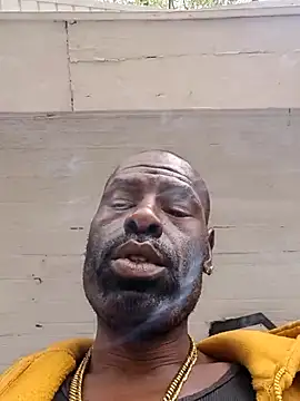 birdg online show from September 23, 2025, 4:54 pm