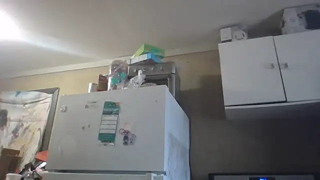 Snapshot of birdg chatting on March 2, 2026, 2:46 pm birdg online show from March 2, 2026, 2:46 pm