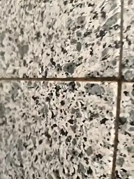 henri69 online show from February 24, 2026, 2:42 am