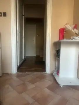 Budibudi5 online show from November 7, 2025, 7:19 am