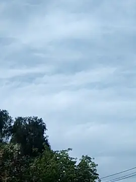 erinadarling79 online show from October 16, 2025, 9:38 pm