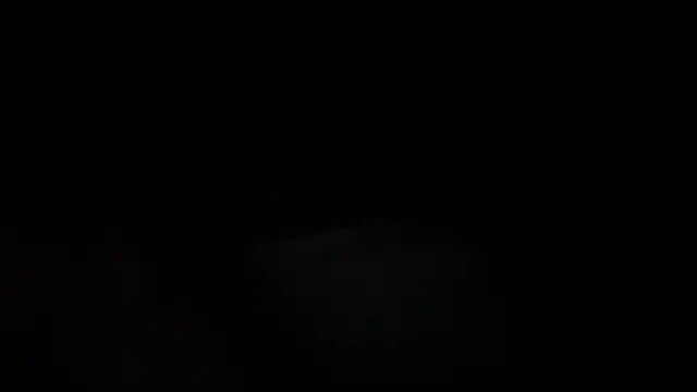 DominantDong online show from March 20, 2025, 5:46 am