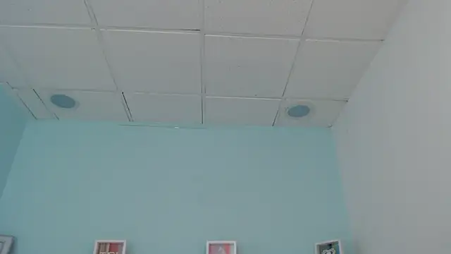 Snapshot of Sunshine_gh1 chatting on May 25, 2026, 11:27 am Sunshine gh1 online show from May 25, 2026, 11:27 am