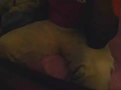Snapshot of Fuckmehardandcloudy chatting on March 21, 2026, 8:45 pm Fuckmehardandcloudy online show from March 21, 2026, 8:45 pm