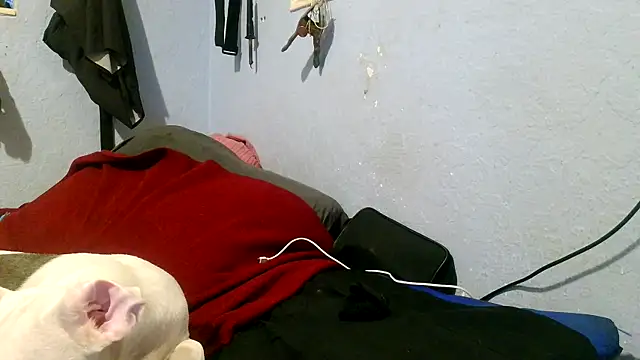 PornStro921 online show from May 3, 2026, 4:02 pm