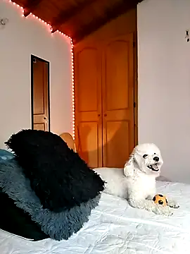 morenosiam online show from November 23, 2025, 9:36 pm