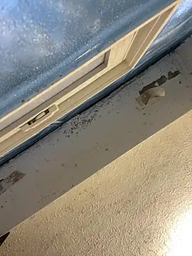 YODAPESOS online show from February 23, 2026, 12:57 pm