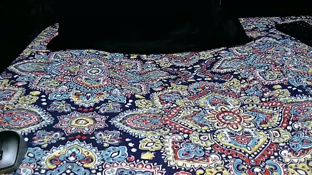 Novata online show from November 16, 2025, 2:28 am