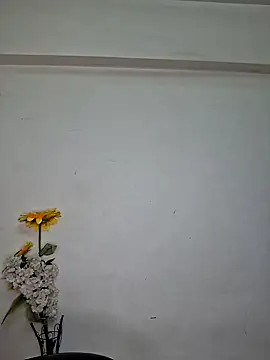 Noor-Bold online show from November 7, 2025, 2:00 am