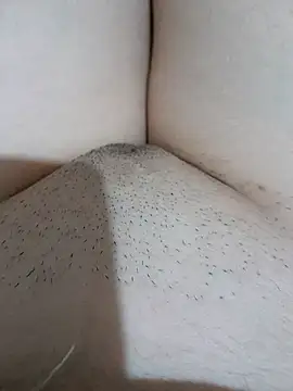 yakot7 online show from September 26, 2025, 12:58 am