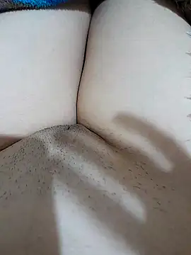 yakot7 online show from November 7, 2025, 11:38 pm