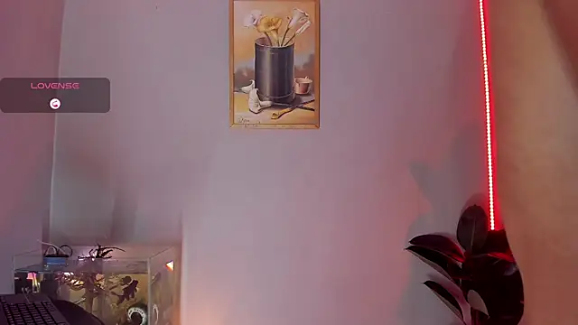 CRAZY-BOY99 online show from October 31, 2025, 10:05 am