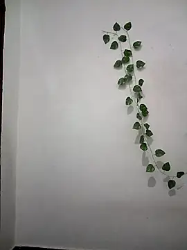 Neha-Bhabhi-Rasily online show from April 6, 2026, 4:52 pm