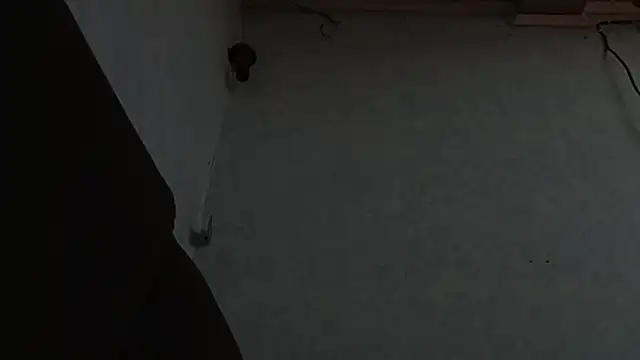 PrimordialChill6 online show from April 6, 2026, 3:59 am